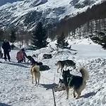 Otel Du Soleil 2*